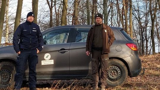 Wspólne działania „Choinka” na terenach leśnych gminy Niemcza