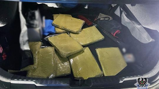 Wwiózł do Polski znaczną ilość substancji psychoaktywnej w postaci kratomu