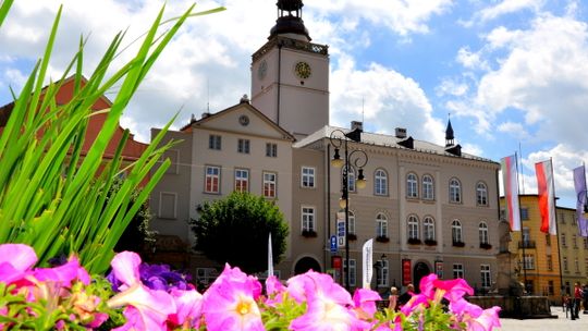 WYNIKI GŁOSOWANIA W RAMACH DBO 2019