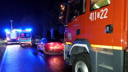 Tragiczny wypadek na drodze z Pieszyc do Piskorzowa