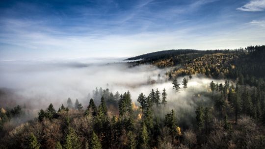 ZACHWYCAJĄCE GÓRY SOWIE