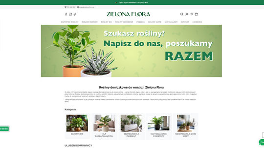 Zakupy roślin doniczkowych online - na co zwrócić uwagę przy wyborze?