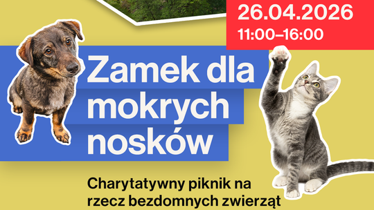 Zamek dla Mokrych Nosków w Trzebieszowicach