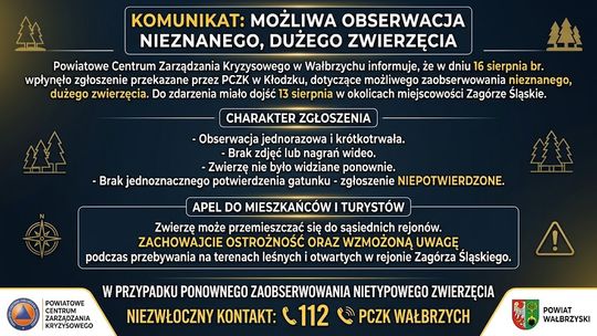 Zaobserwowano nieznane zwierzę w rejonie Zagórza Śląskiego
