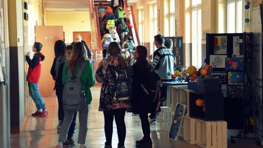 Zapisy i rekrutacja do dzierżoniowskich szkół i przedszkoli