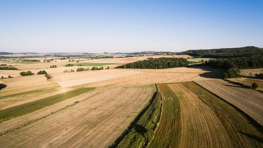 Zapowiedź Powiatowo – Gminnych Dożynek