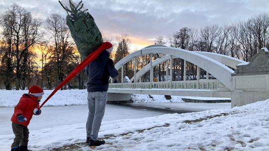 Zapraszamy do udziału w konkursie fotograficznym „Świątecznie w Świdnicy”