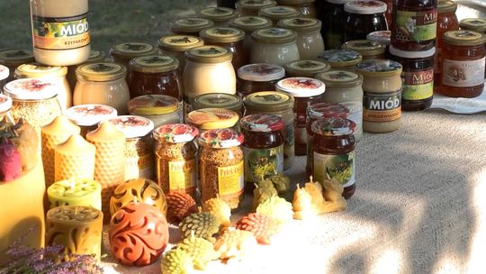 Zapraszamy na Miodobranie 2025 w Dzierżoniowie