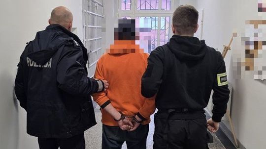 Zarzuty za usiłowanie uprowadzenia małoletniej dziewczynki