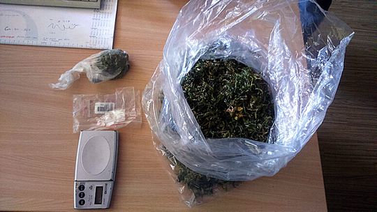 ZATRZYMANI ZA POSIADANIE MARIHUANY