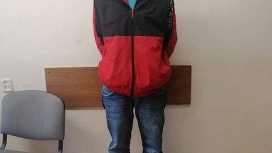 ZATRZYMANY NA GORĄCYM UCZYNKU SPRAWCA POŁAMANYCH DRZEWEK