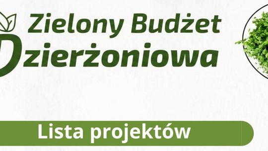 Zielony Budżet Dzierżoniowa 2026 - poznaj listę projektów