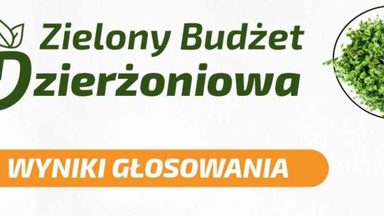 Zielony Budżet Dzierżoniowa 2026: wyniki głosowania