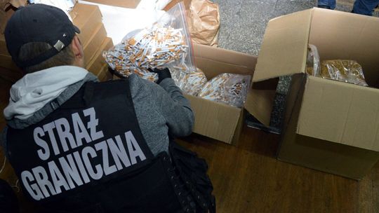 ZLIKWIDOWANO NIELEGALNĄ KRAJALNIE TYTONIU