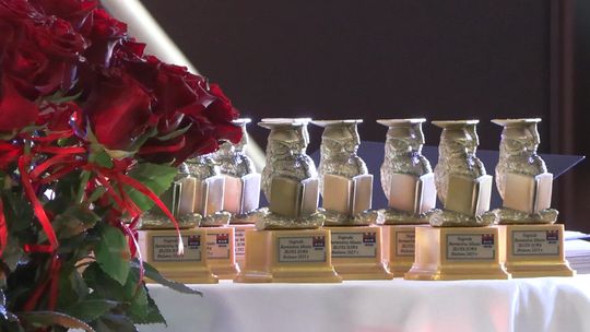"Złote Sowy" Burmistrza Miasta Bielawa dla najlepszych z najlepszych