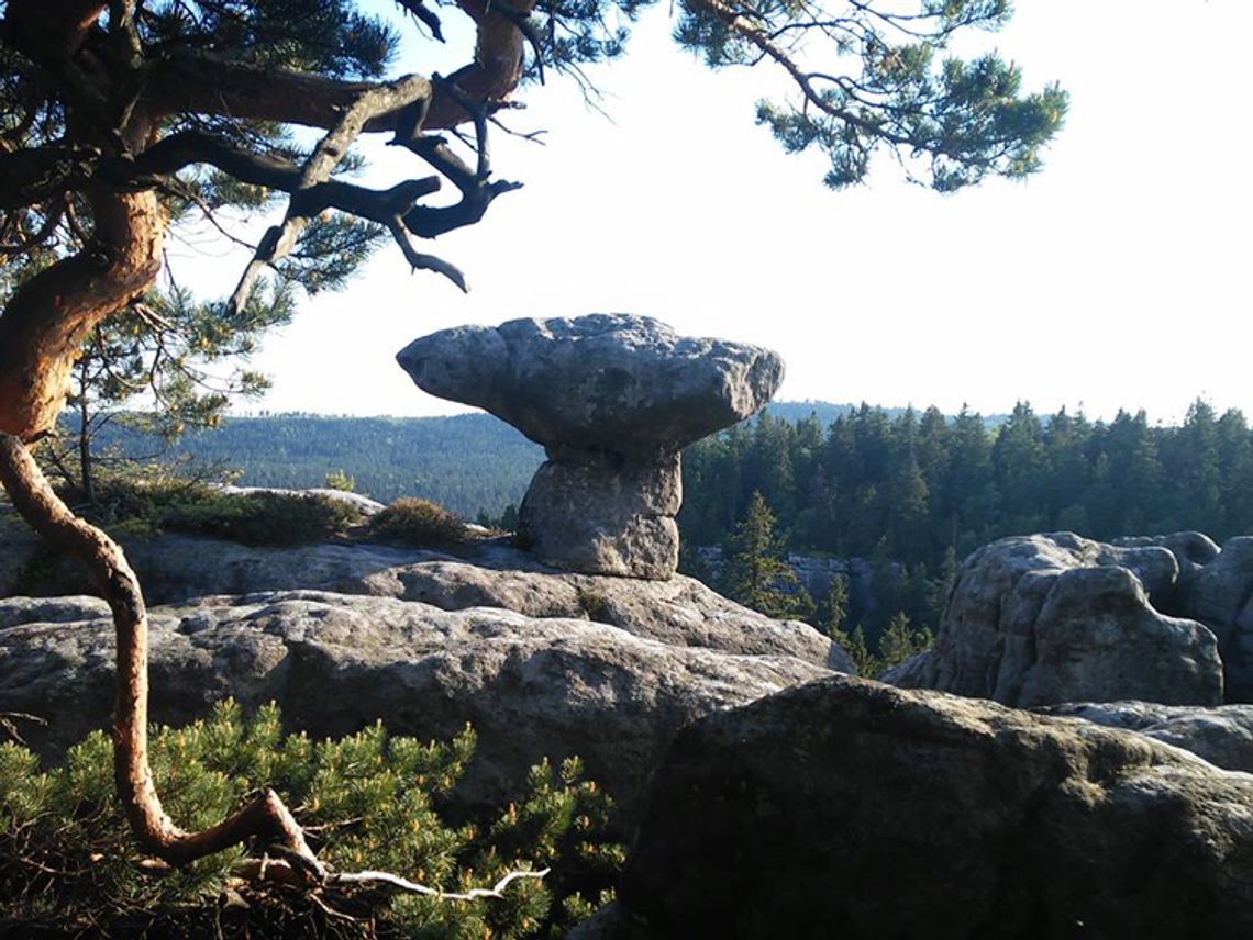 10 PRZYKAZAŃ GÓRSKIEGO TURYSTY