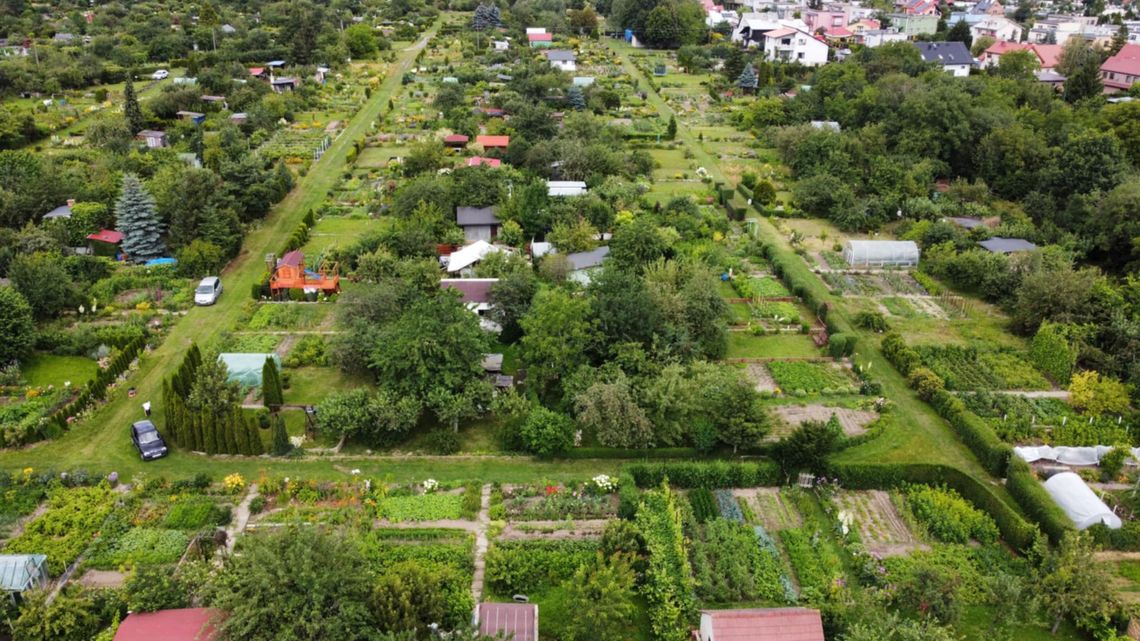65 tys. zł dla ogrodów działkowych w Świdnicy. Trwa nabór wniosków
