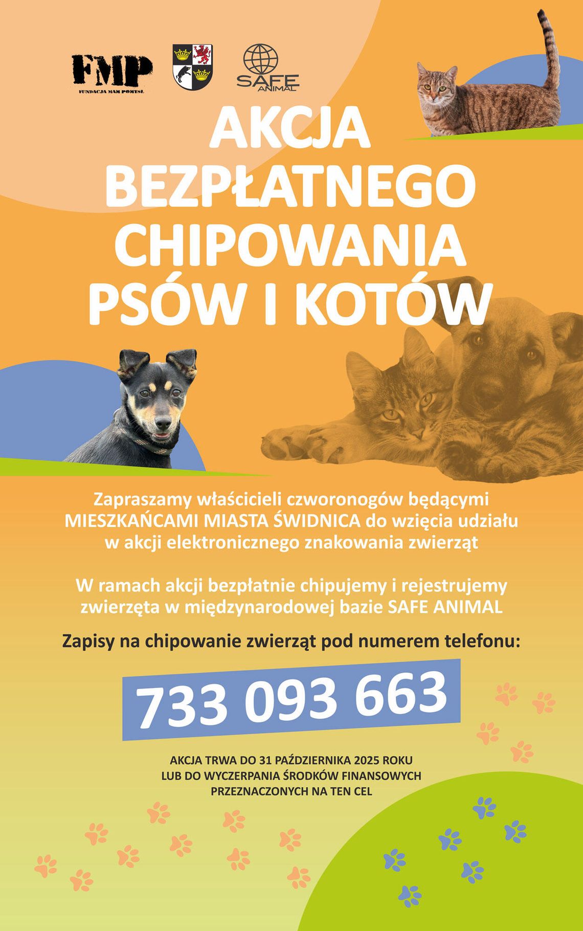 Akcja bezpłatnego czipowania psów i kotów w Świdnicy