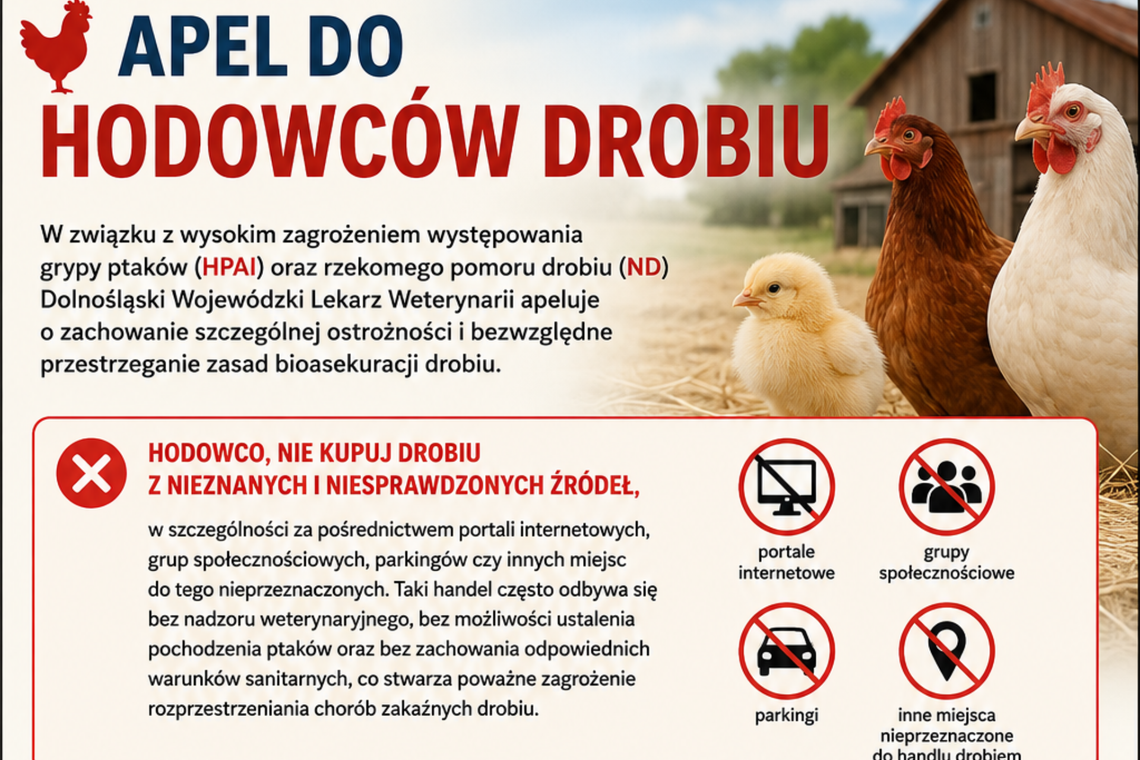 Apel do hodowców drobiu