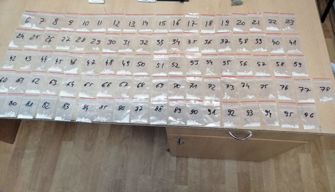 ARESZT ZA HANDEL NARKOTYKAMI I POSIADANIE ICH W ZNACZNYCH ILOŚCIACH