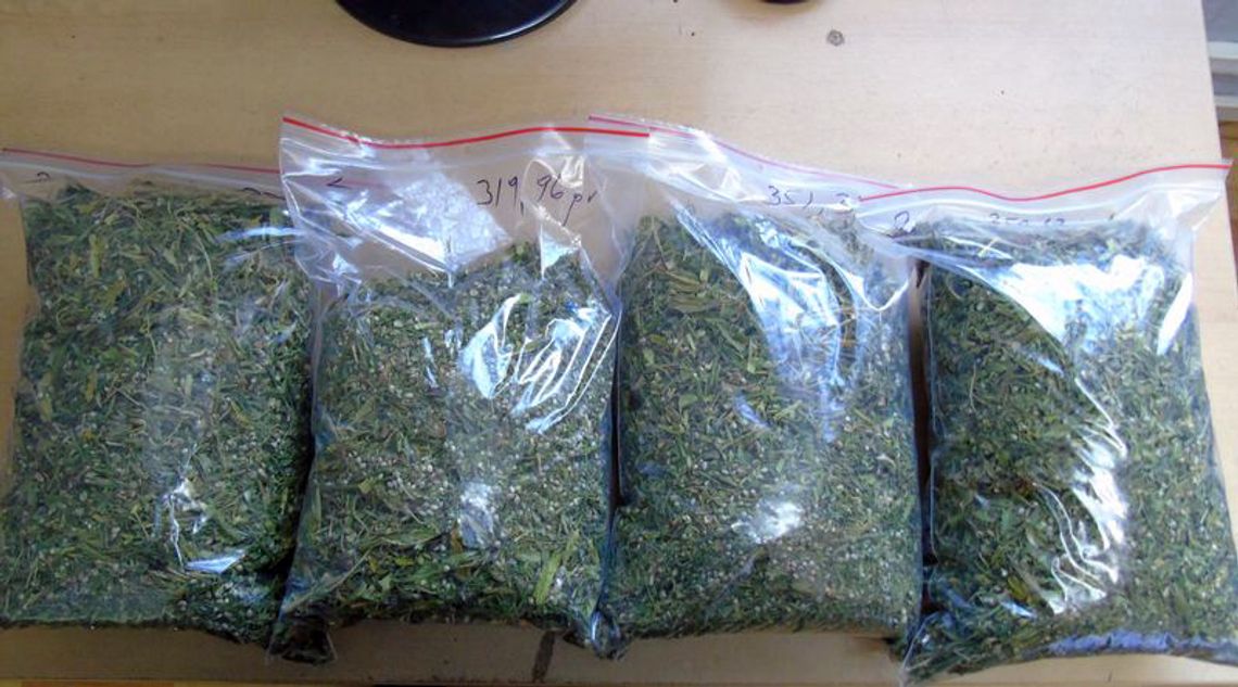 ARESZT ZA POSIADANIE 5500 PORCJI NARKOTYKÓW