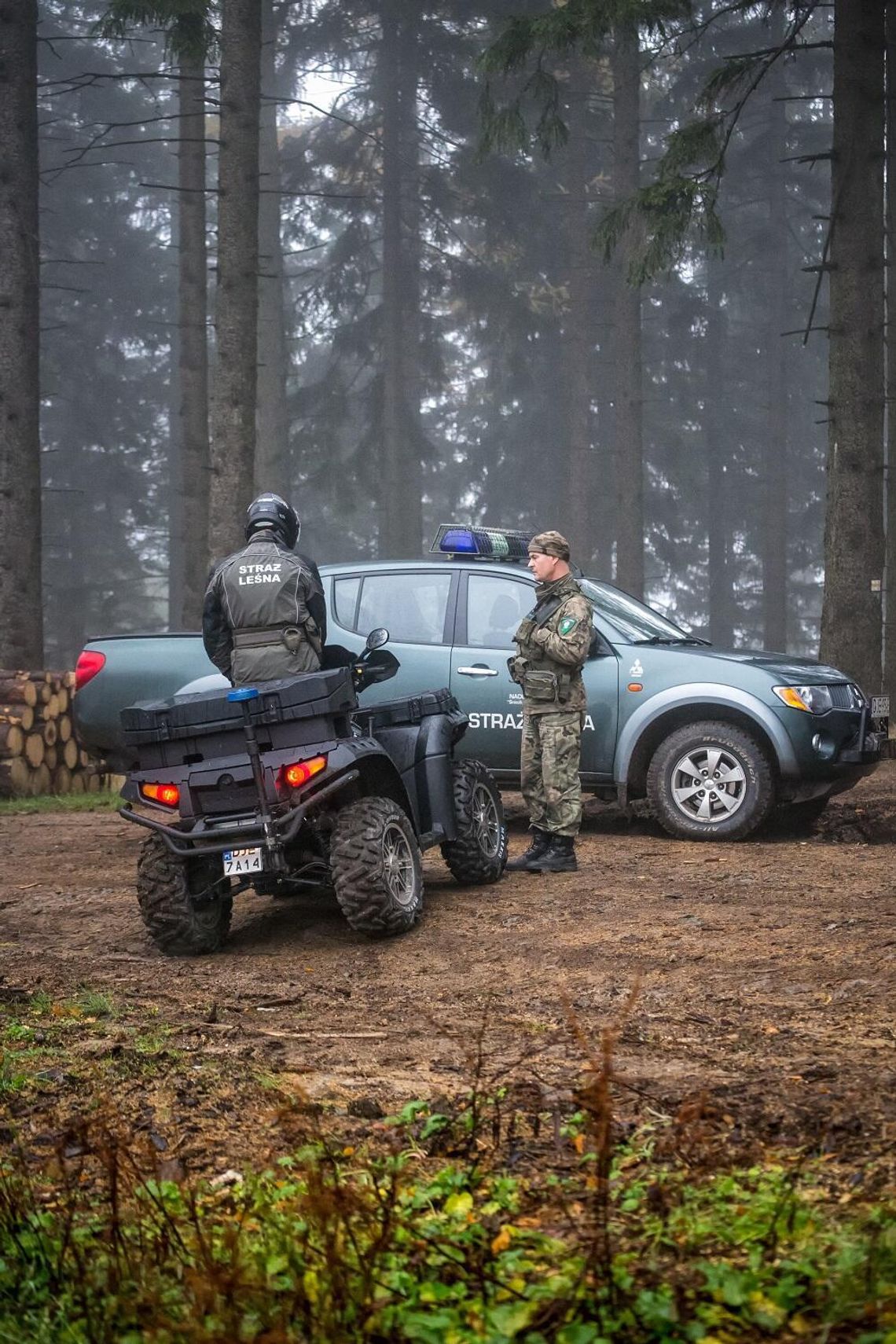 Bezpieczna jesień w polskich lasach. Straż Leśna rozpoczyna akcję „Jesień 26” Bezpieczna jesień w polskich lasach. Straż Leśna rozpoczyna akcję „Jesień 26”