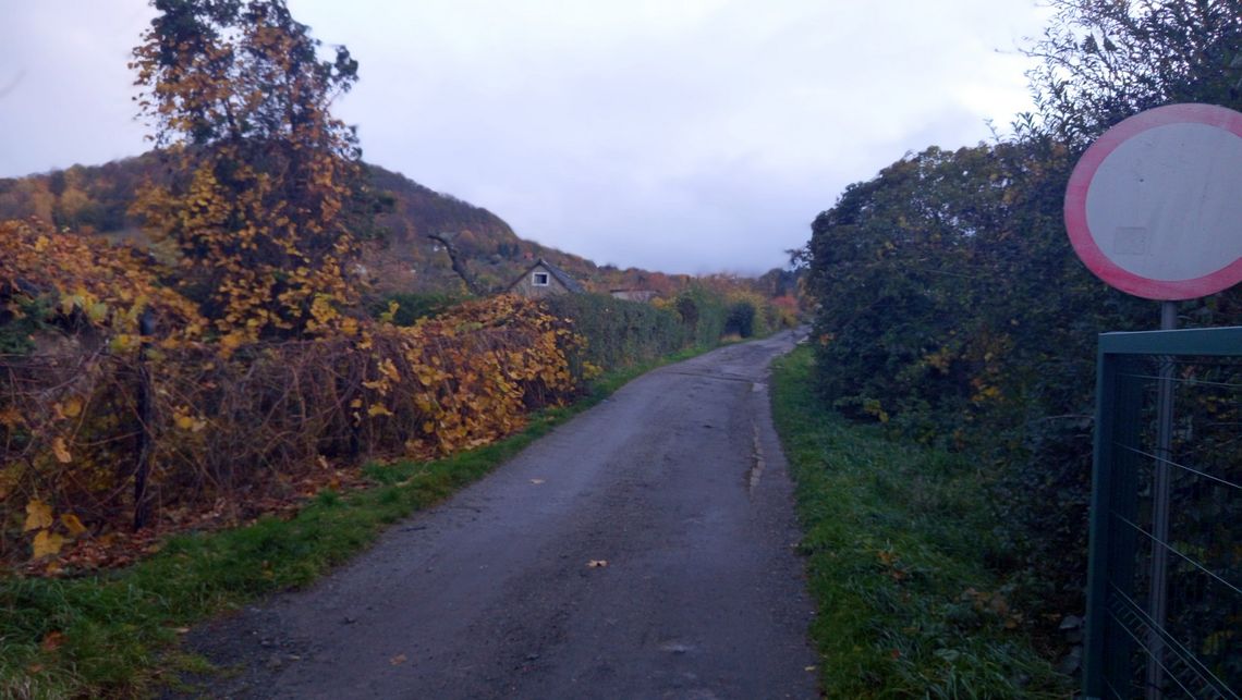Bielawa, zatrzymanie podejrzanego o zabójstwo na ogródkach działkowych Bielawa, zatrzymanie podejrzanego o zabójstwo na ogródkach działkowych