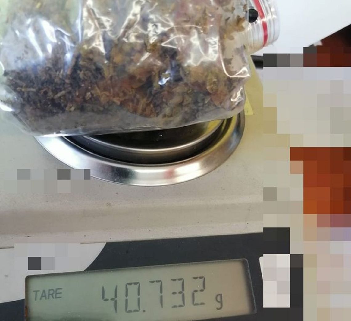 Bielawscy kryminalni zabezpieczyli ponad 200 porcji marihuany Bielawscy kryminalni zabezpieczyli ponad 200 porcji marihuany