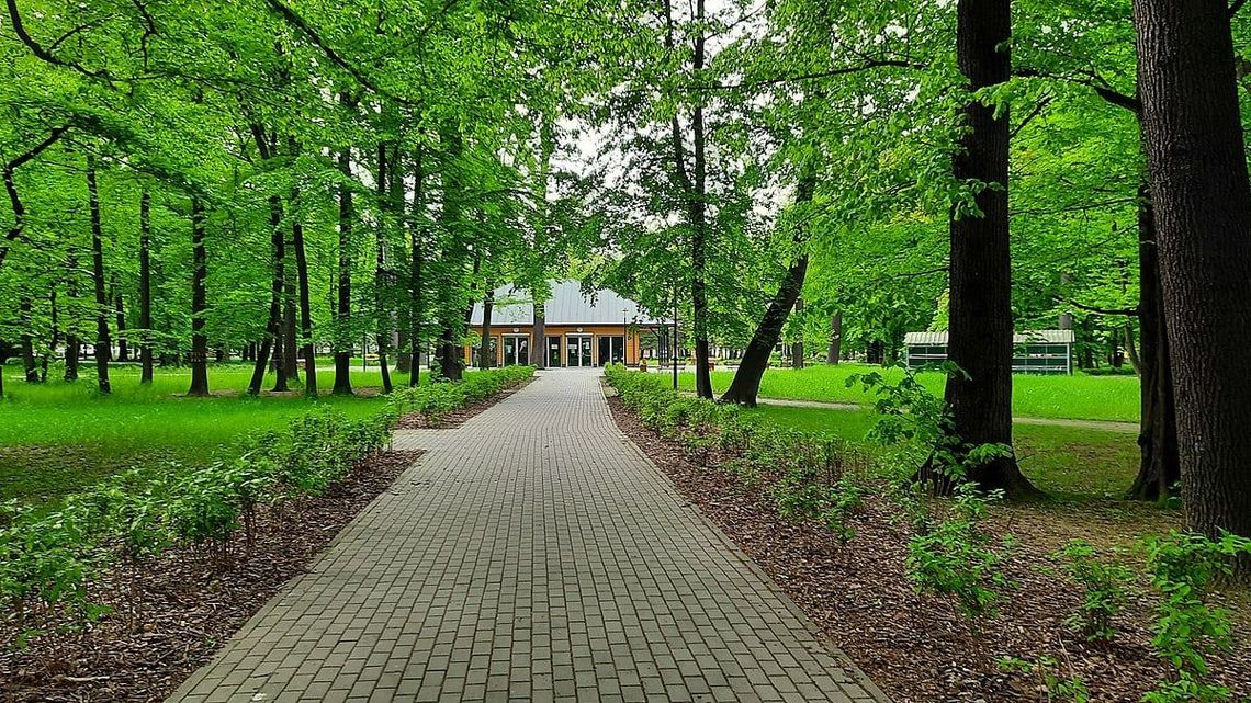 BIELAWSKI PARK MIEJSKI OFERUJE ODPOCZYNEK OD TROPIKALNYCH UPAŁÓW