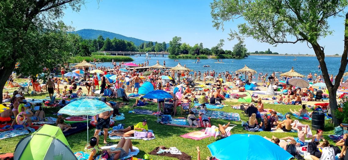 Brak sinic w Jeziorze Bielawskim