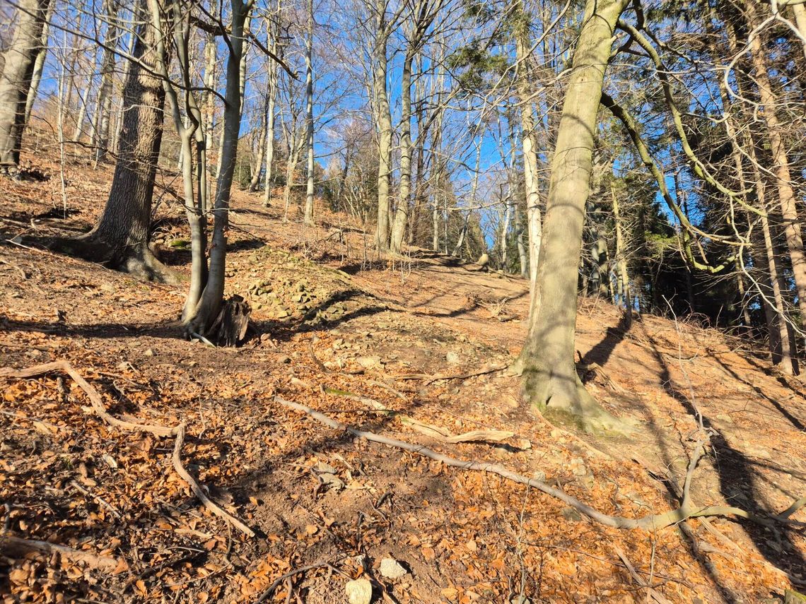 Dawne skocznie narciarskie w Górach Sowich Dawne skocznie narciarskie w Górach Sowich