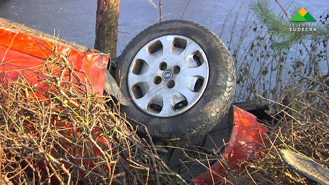 DRZEWA RATUJĄ PRZED GROŹNYM WYPADKIEM DRZEWA RATUJĄ PRZED GROŹNYM WYPADKIEM