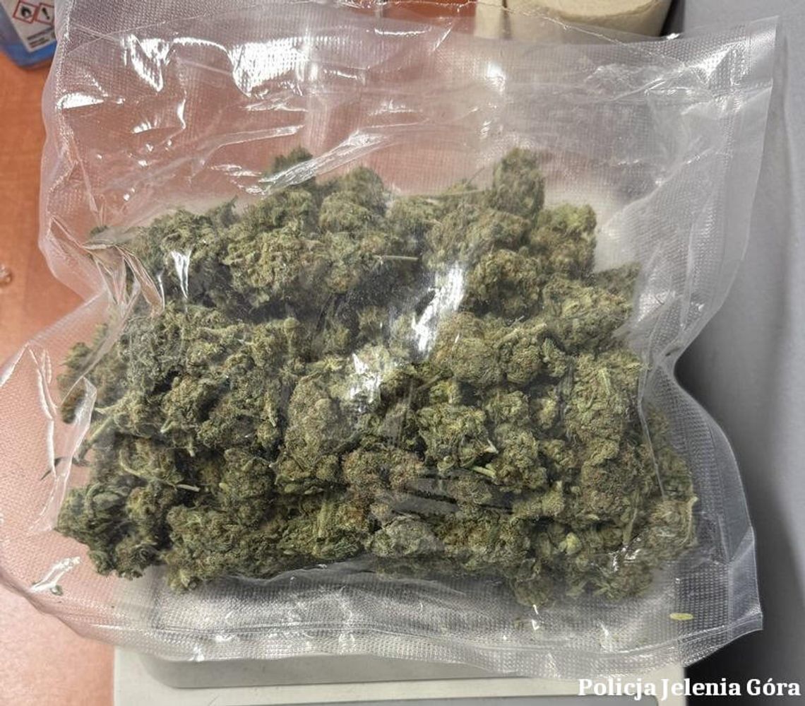 Dwie kontrole drogowe i ponad 2700 porcji narkotyków wyeliminowanych z obiegu Dwie kontrole drogowe i ponad 2700 porcji narkotyków wyeliminowanych z obiegu