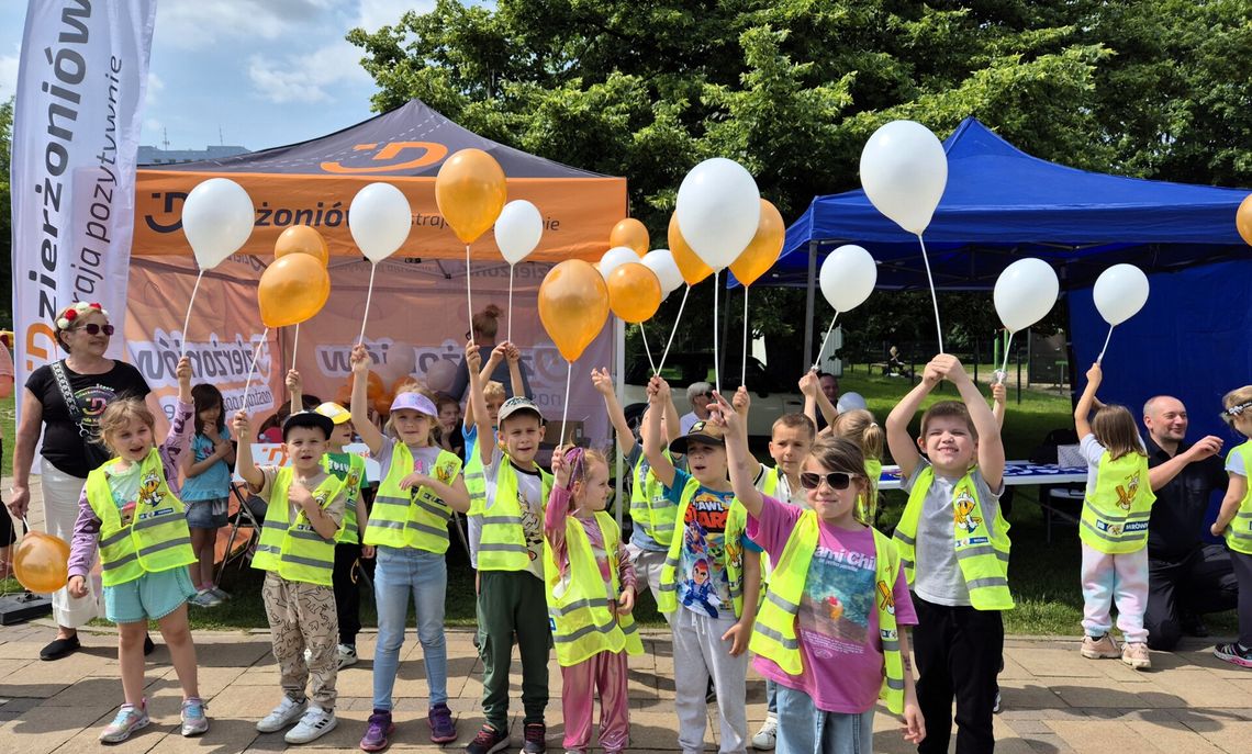 Dzień Bezpieczeństwa w Dzierżoniowie