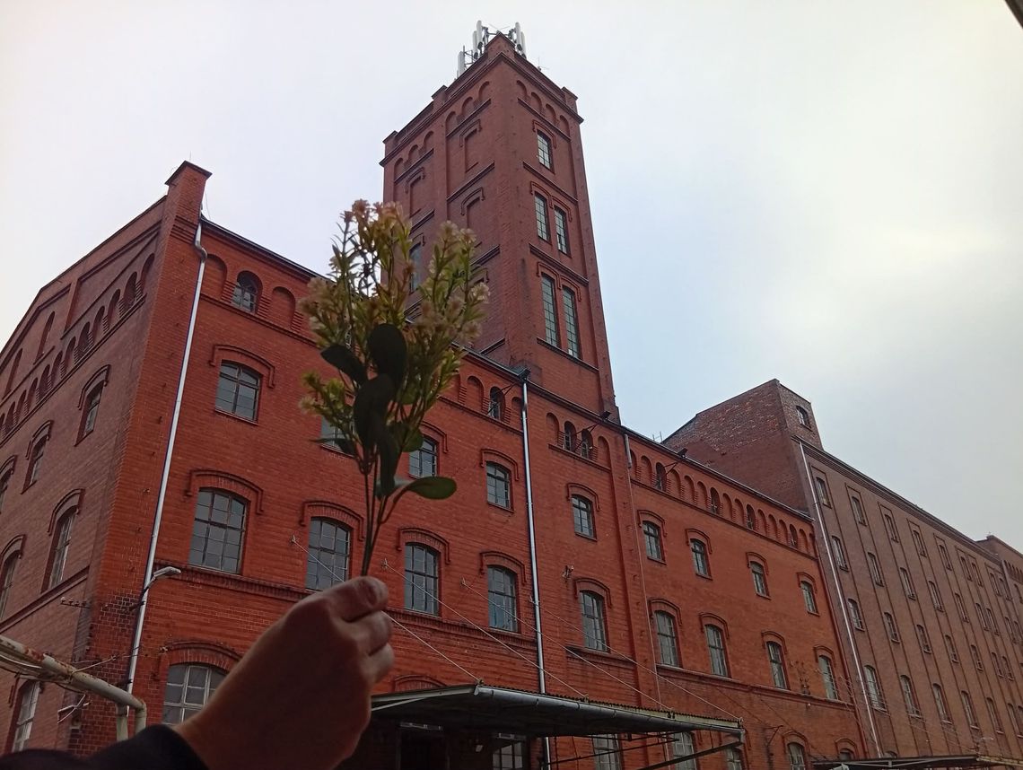 Dzień Kobiet w Młynie Hilberta: Zapisy przedłużone do 5 marca!