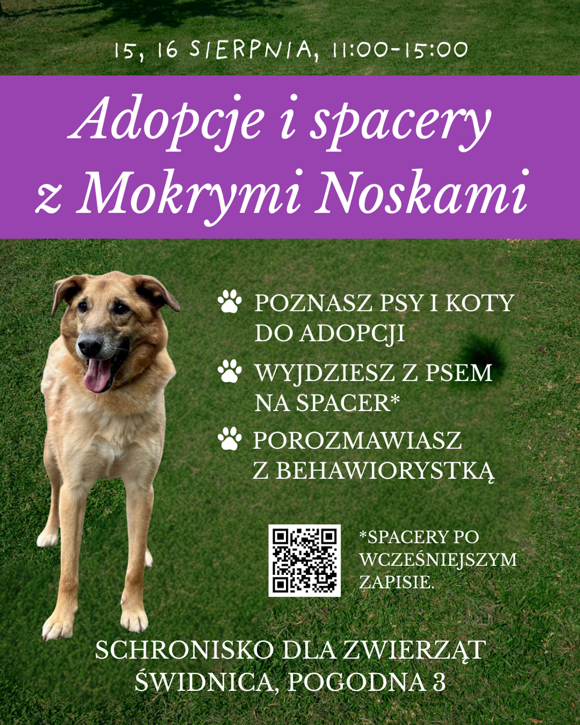 Dzień Wielkich Serc, czyli adopcje i spacery z psami ze schroniska Dzień Wielkich Serc, czyli adopcje i spacery z psami ze schroniska