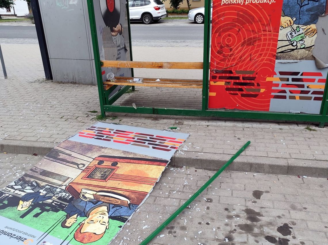 Dzierżoniów. Bezmyślna dewastacja mienia publicznego