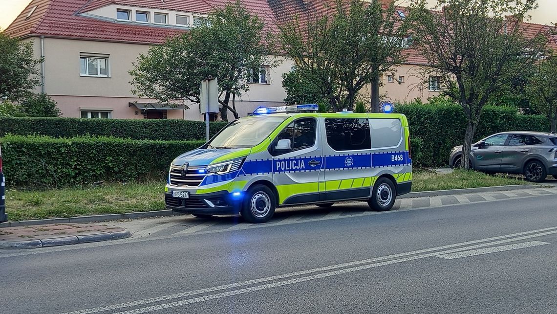 Dzierżoniów. Dostawczym Reno uderzył drzewo na Batalionów Chłopskich