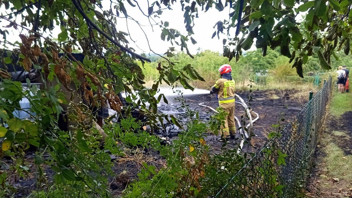 Dzierżoniów. Pożar altanki na Rodzinnych  Ogródkach Działkowych "Jar"