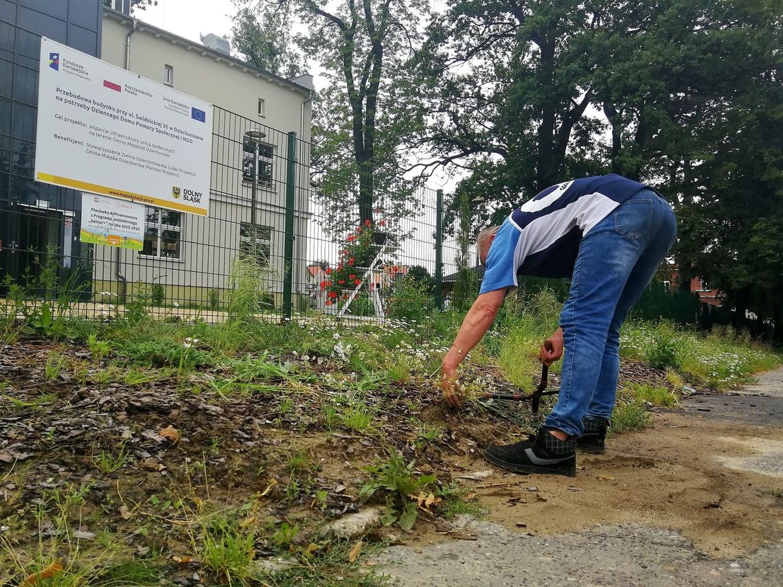 Dzierżoniów wspiera w wychodzenie z bezdomności