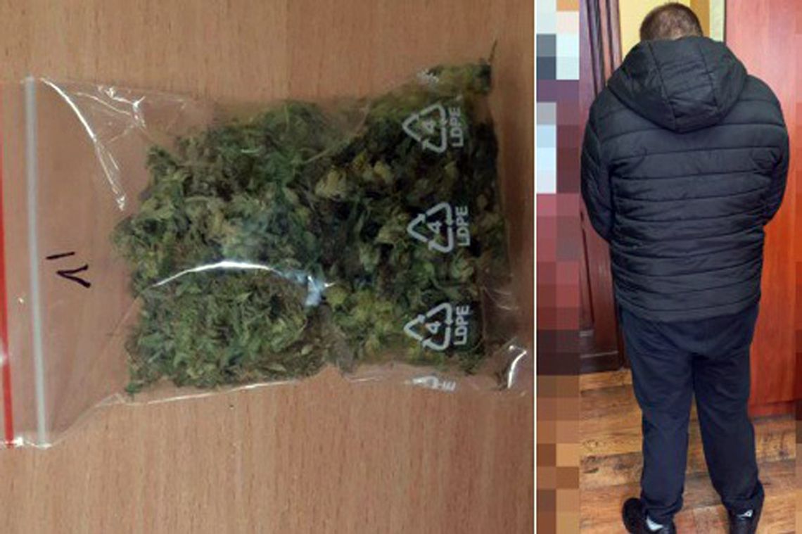 Dzierżoniowscy kryminalni zabezpieczyli ponad 90 porcji marihuany