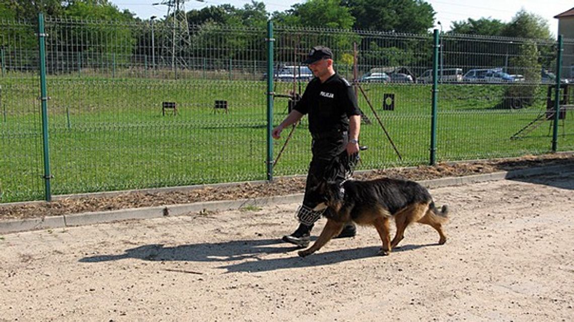 DZIERŻONIOWSKI POLICJANT ZWYCIĘZCĄ 