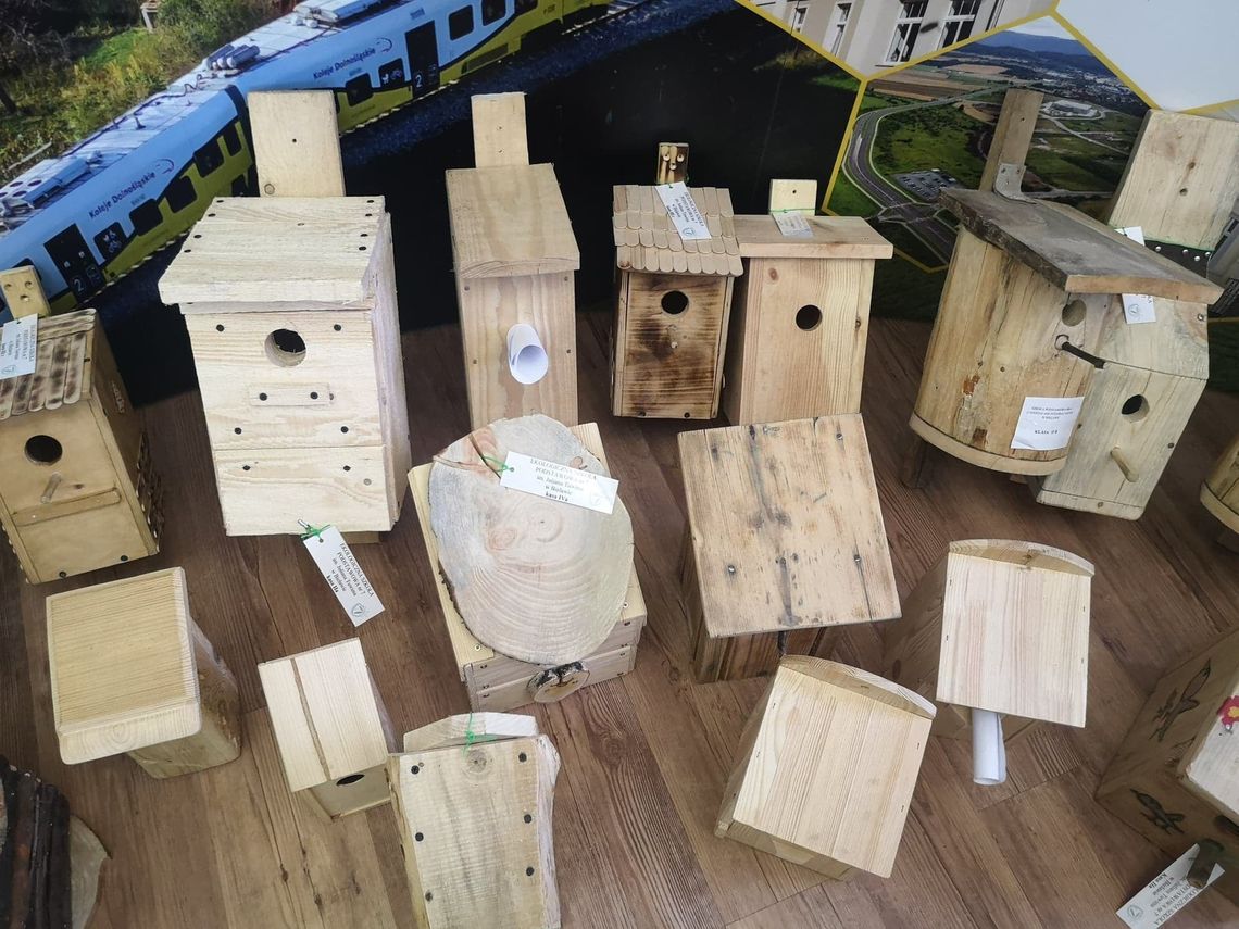 EKO BUDKI W BIELAWSKIM PARKU MIEJSKIM EKO BUDKI W BIELAWSKIM PARKU MIEJSKIM