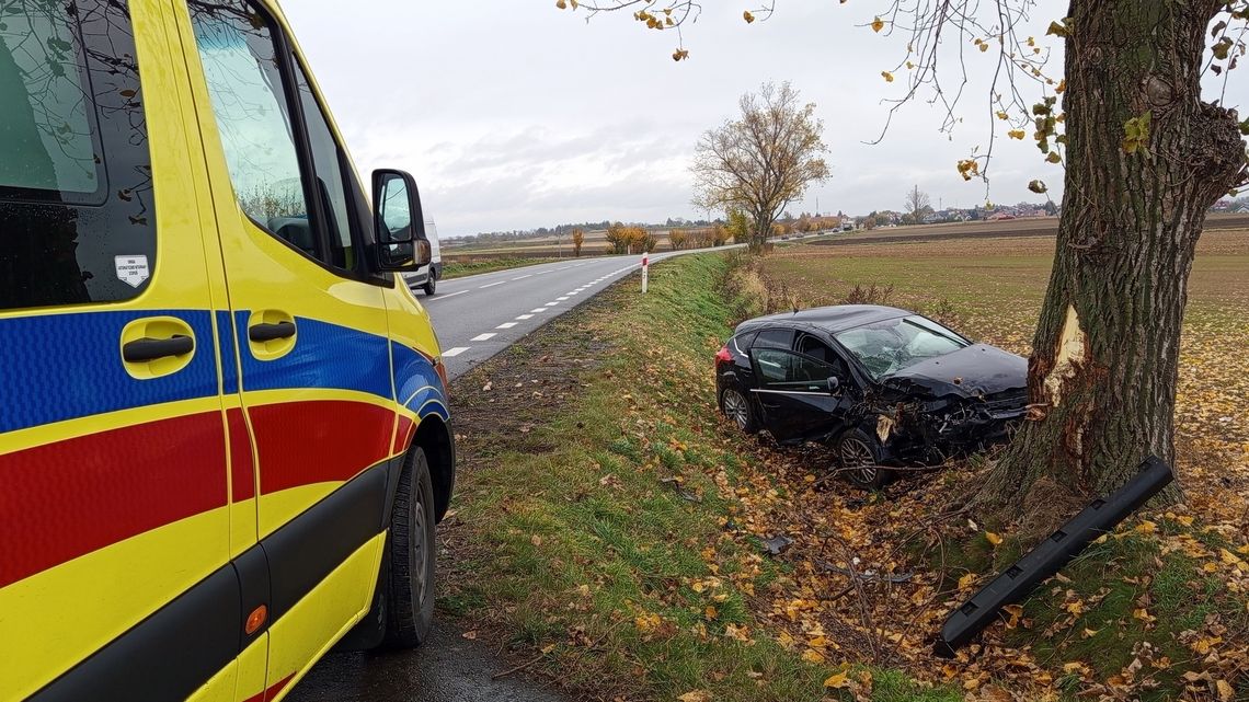 Fordem uderzył w drzewo