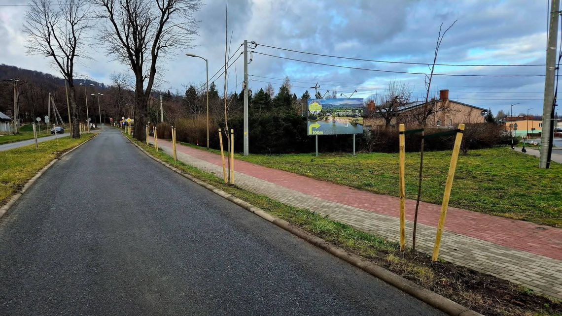 Gmina Bielawa pozyskała 50.000 zł dofinansowania na nasadzenie nowych drzew oraz ich pielęgnację