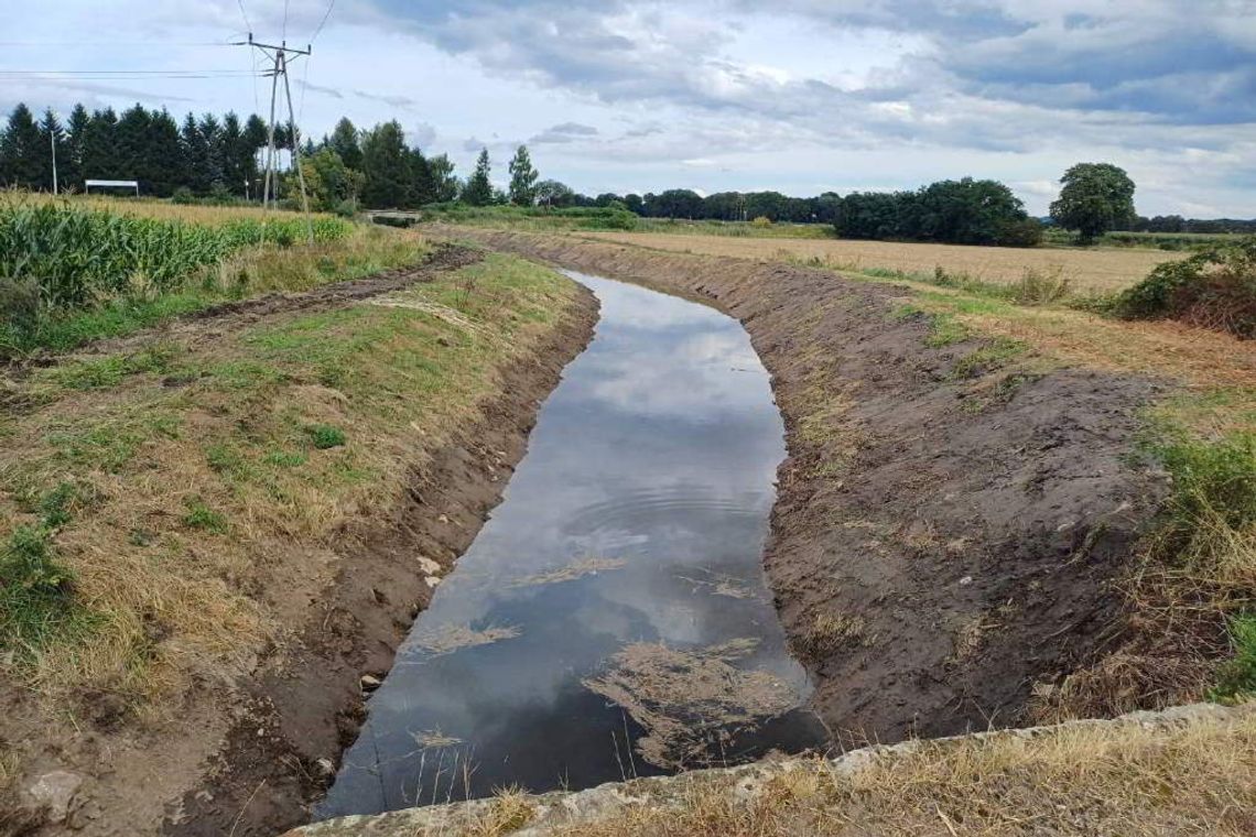 Gmina Dzierżoniów: Profilaktyka przeciwpowodziowa