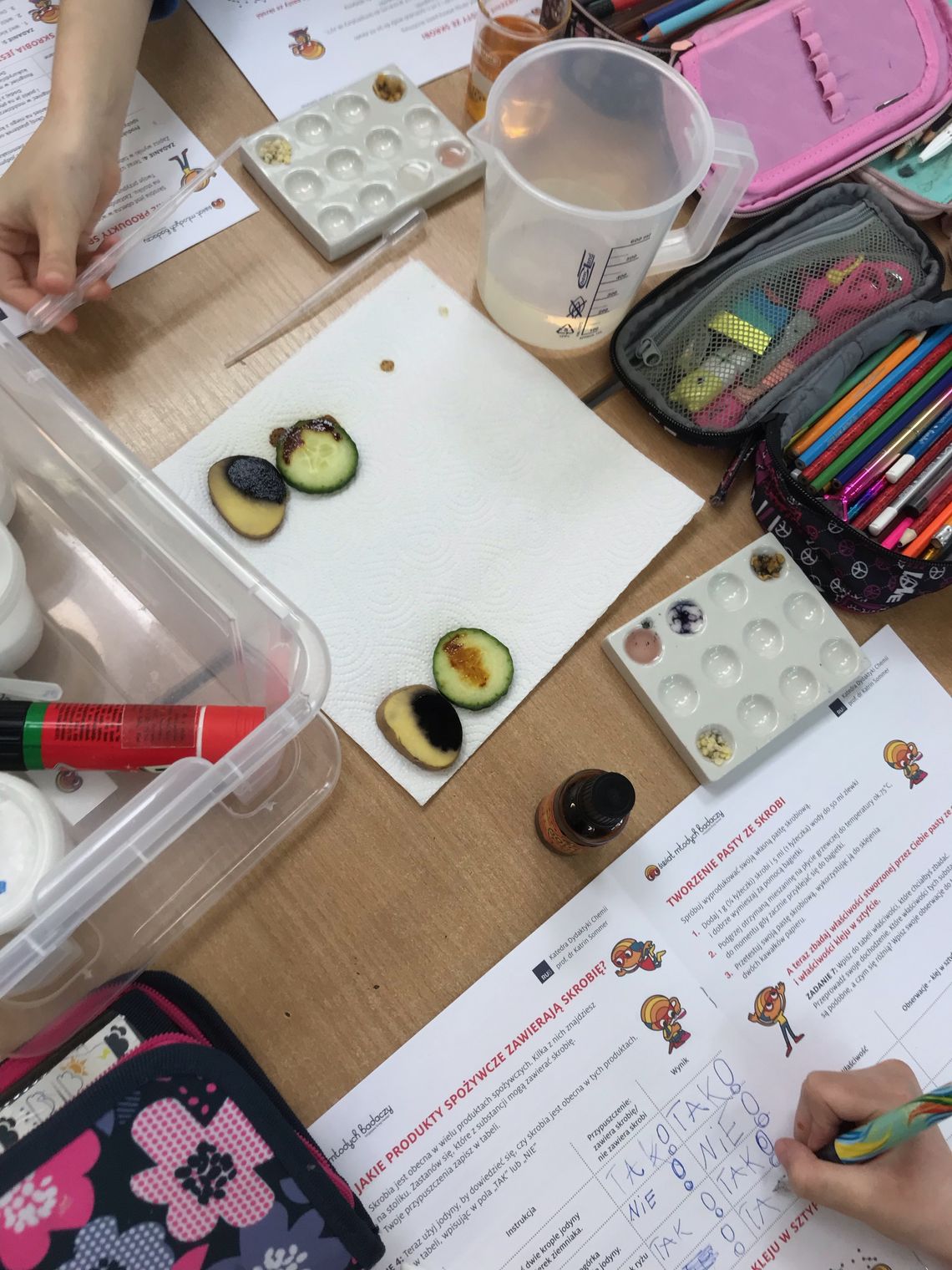 Henkel Polska ponownie zawitał do szkół z programem Świat Młodych Badaczy Henkel Polska ponownie zawitał do szkół z programem Świat Młodych Badaczy