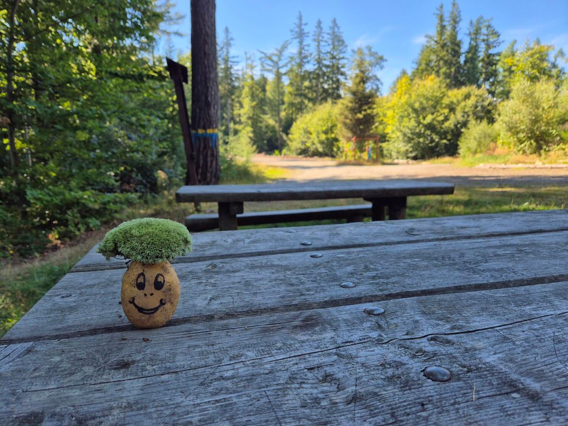 Już w niedzielę 25. Rajd Pieczonego Ziemniaka