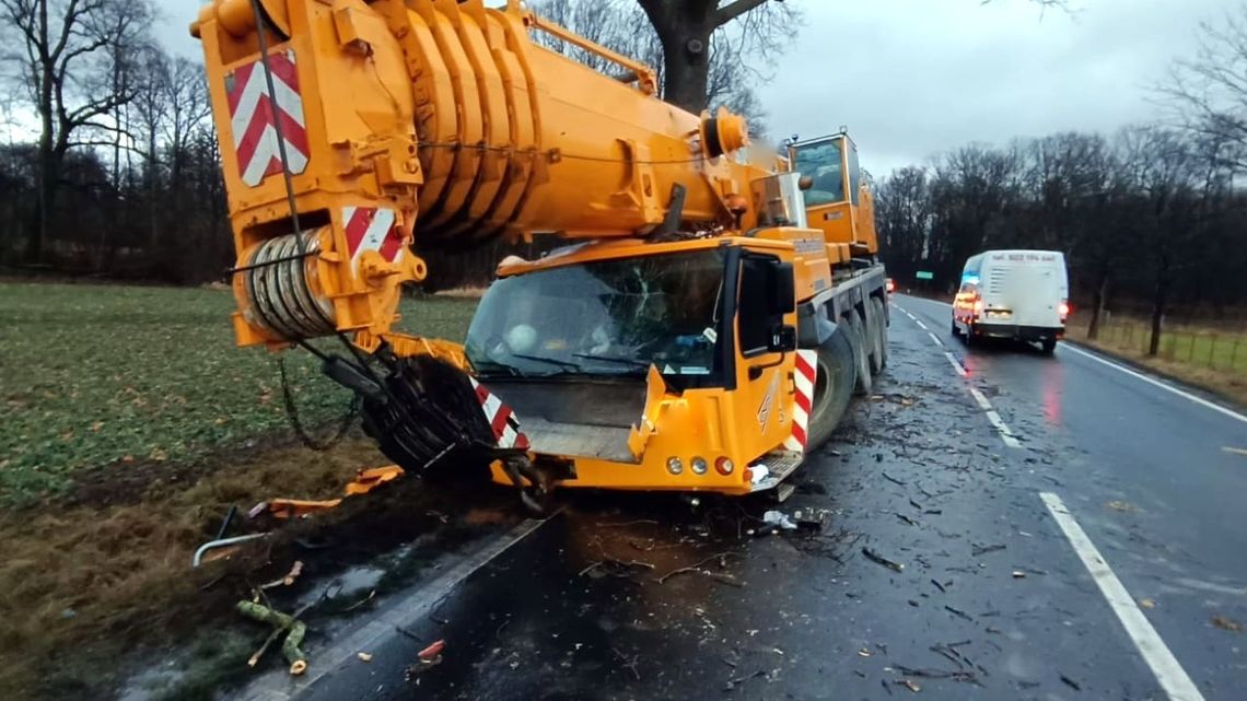 Kierowca dźwigu pod wpływem, uderzył w drzewo