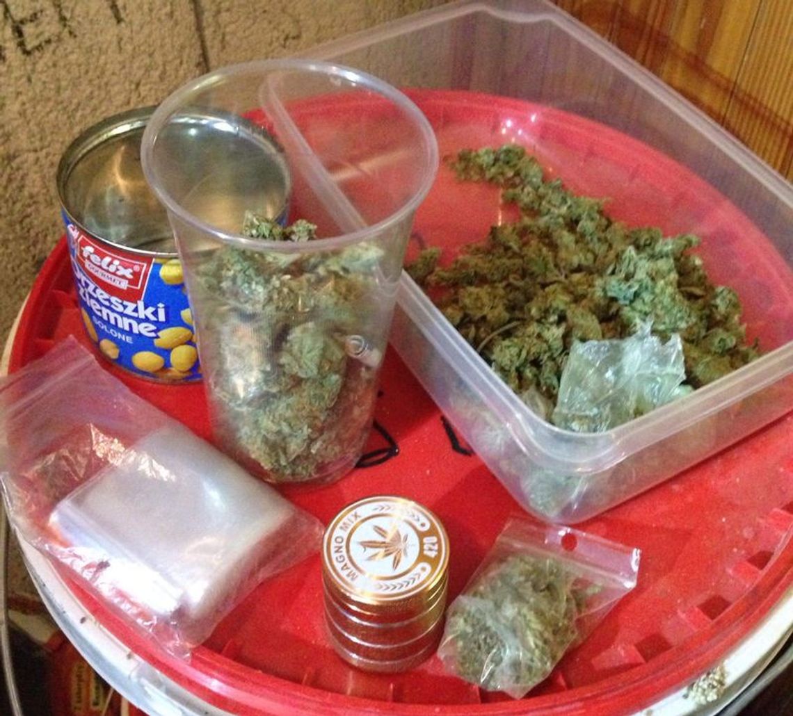 KOLEJNE NARKOTYKI PRZEJĘTE PRZEZ DZIERŻONIOWSKICH POLICJANTÓW KOLEJNE NARKOTYKI PRZEJĘTE PRZEZ DZIERŻONIOWSKICH POLICJANTÓW